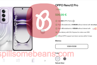 Oppo Reno 12 Pro Pricing